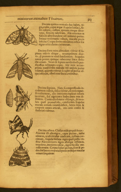 Insectorum, sive, Minimorum animalium theatrum. Londini: Ex officinâ typographicâ Thom. Cotes, 1634.
