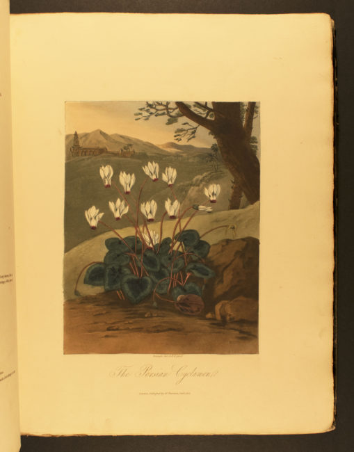 Temple of Flora, or, Garden of the Botanist, Poet, Painter, and Philosopher. [London: Dr. Thornton, 1812].