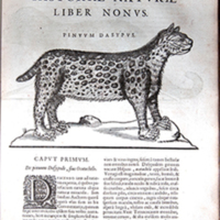 Historia Natvrae, Maxime Peregrinae, Libris XVI…