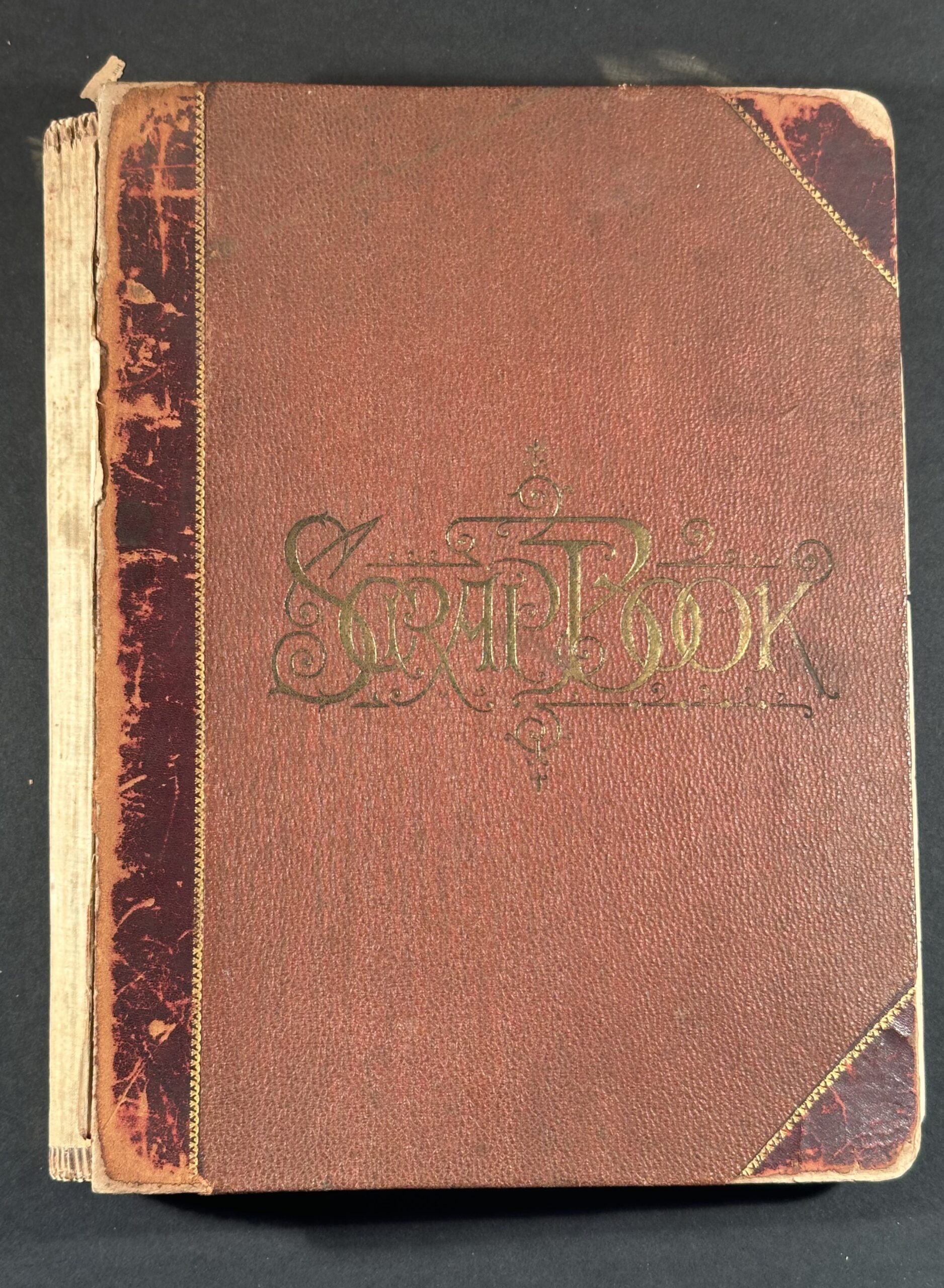 Nelson, David Fox. “Volume 5,” [1874-1879], from the David Fox Nelson Scrapbooks collection