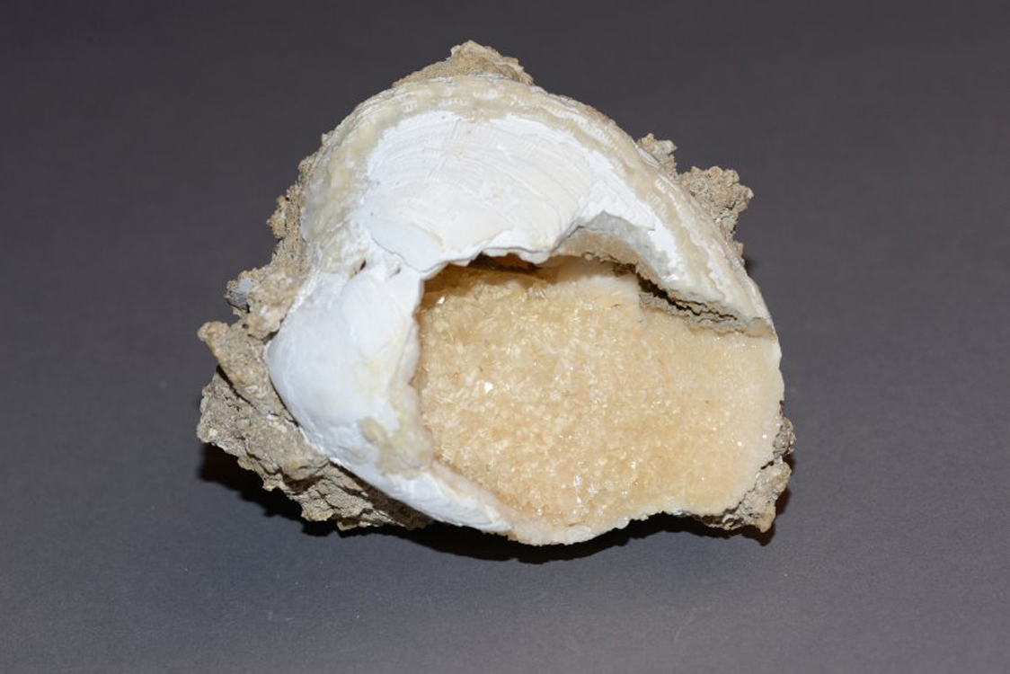 39 Calcite in shell