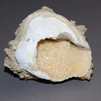 Calcite in shell