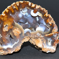 Agatized coral
