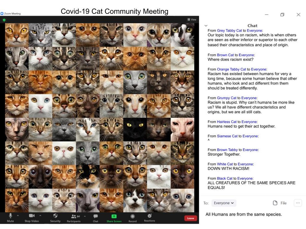 Makayla Randolph. “COVID-19 Cat Community Meeting,” digital artwork, 2020.