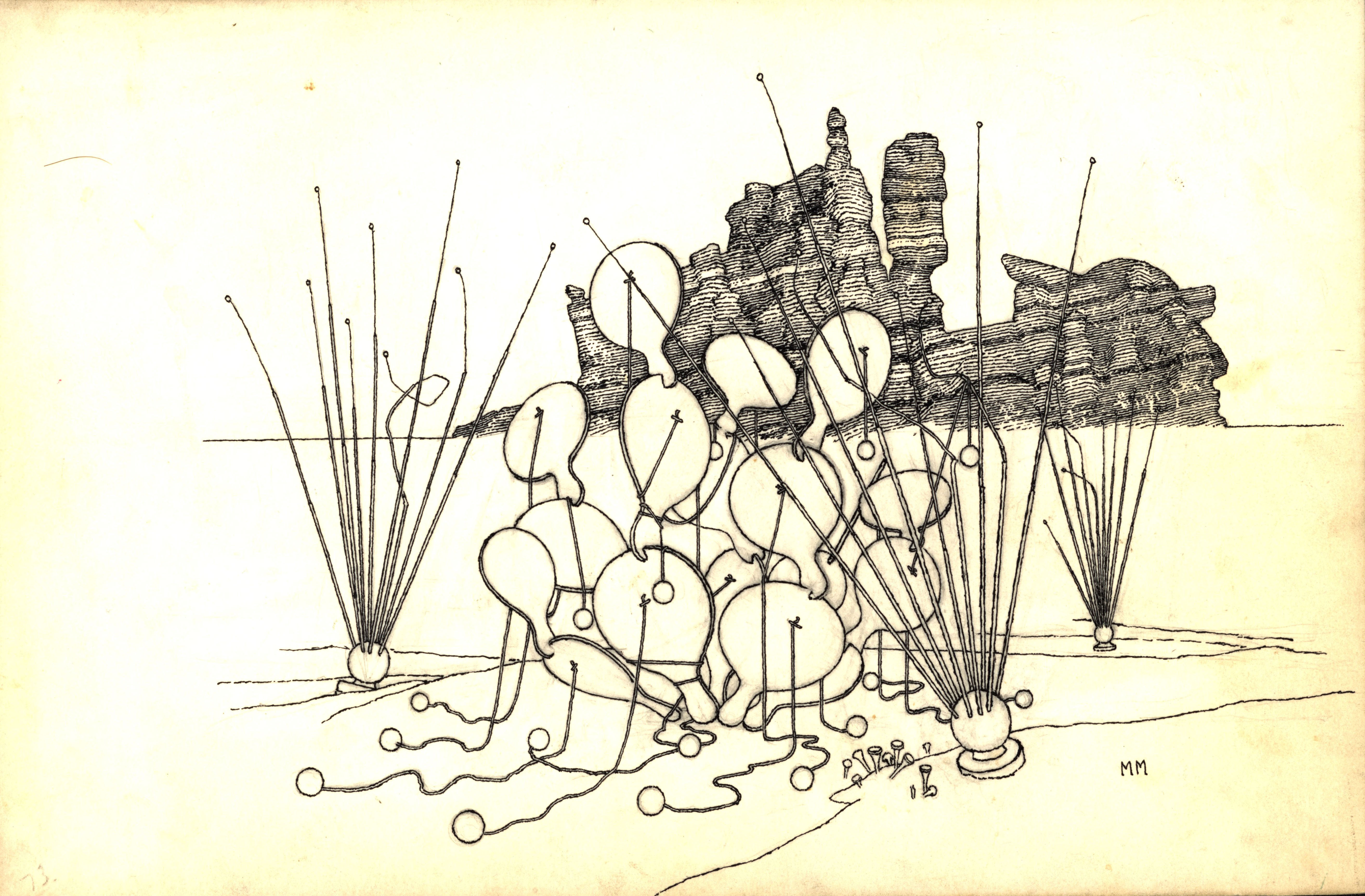 Meyers, Michael. “Opuntia ellisiana” (Spineless prickly pear cactus), original artwork for illustration accompanying “Fifteen Hundred Tons of Hay @ 1¢ per pound” in Recollections, ink on art board [1974], from the Zephyrus Image records