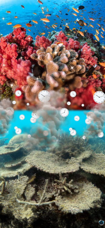 Anonymous. “Coral Reefs,” digital artwork, 2021.