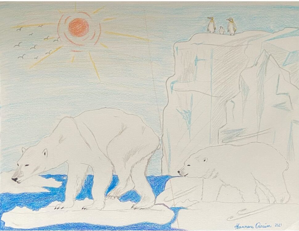 Hannan Qasim. “Arctic Environment,” drawing, 2021.