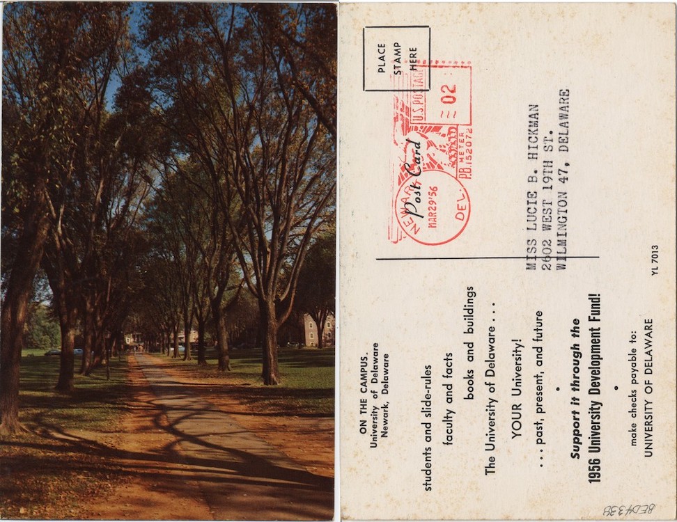 On the Campus: University of Delaware, Newark, Delaware, 1956, From the Delaware Postcard Collection
