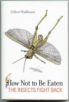 How not to be eaten: The insects fight back