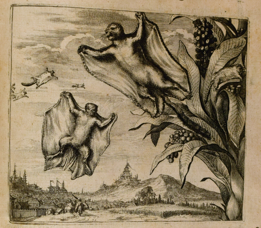 Atlas Chinensis [page detail 2]. London, 1671.