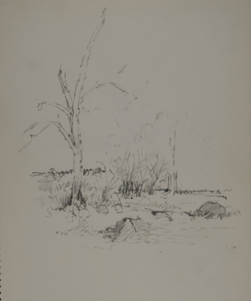 John Edward Heliker (American, 1909-2000), Landscape, n.d., graphite. Museums Collections, Gift of Heliker LaHotan Foundation.