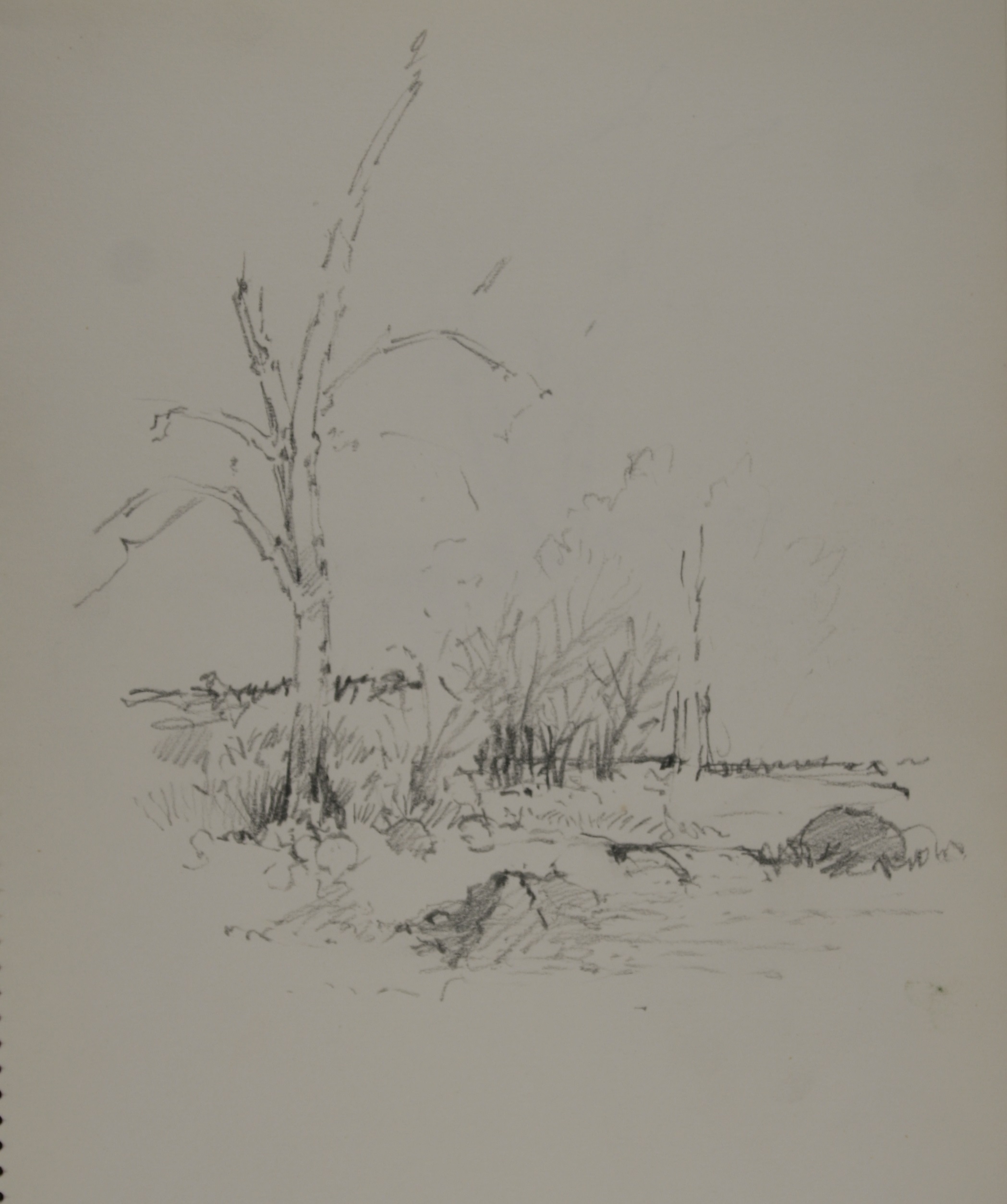 John Edward Heliker (American, 1909-2000), <i>Landscape</i>, n.d., graphite. Museums Collections, Gift of Heliker LaHotan Foundation