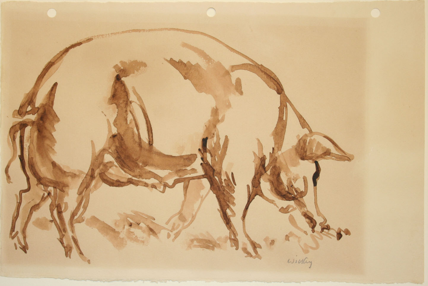 Harry Wickey, (American, 1892-1968), <i>Hog</i>, after 1935, wash drawing. Museums Collections, Gift of Mrs. John Sloan