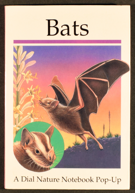 Kendall, Cindy. Bats. New York: Dial Books for Young Readers,1995.