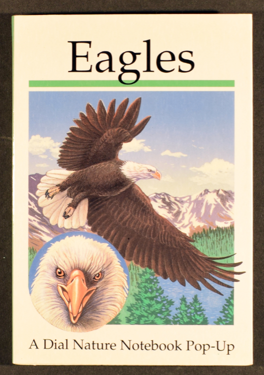 Kendall, Cindy. Eagles. New York: Dial Books for Young Readers, 1995.