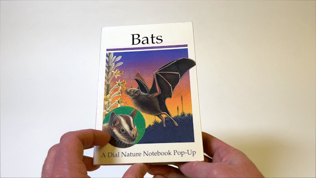 Kendall, Cindy. Bats. New York: Dial Books for Young Readers,1995. [gif]