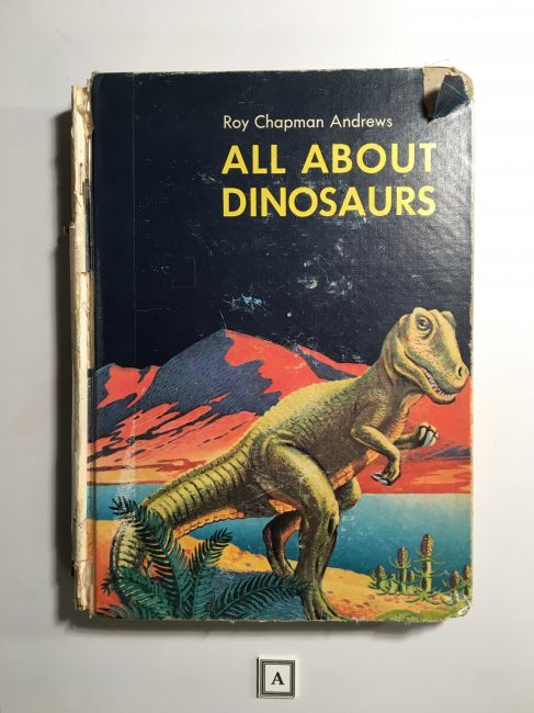 All about Dinosaurs