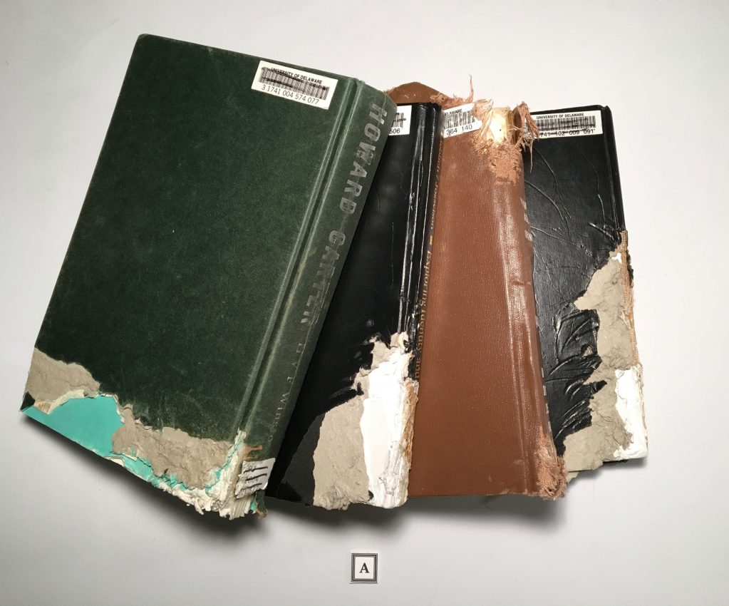 Assorted books Chewed by Dogs