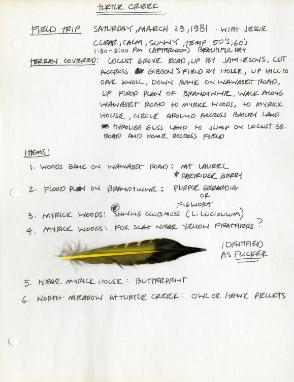 Field Notes from Turtle Creek
