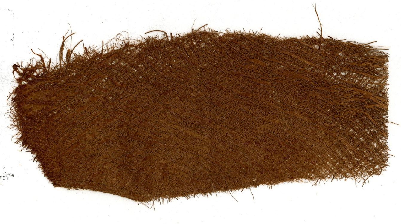 Piece of Coconut Bark