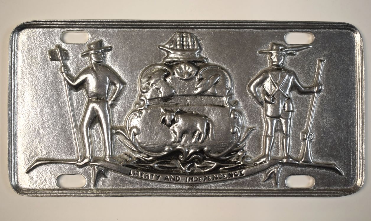 License Plate Cover