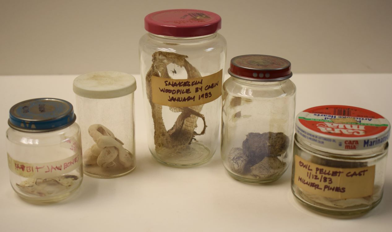 Specimen Jars
