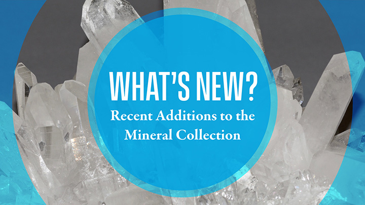 Slideshow Image for What's New? Recent Additions to the Mineral Collection