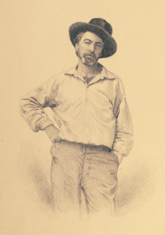 Engraved portrait of Walt Whitman. [No place: no publisher, ca. 1890].