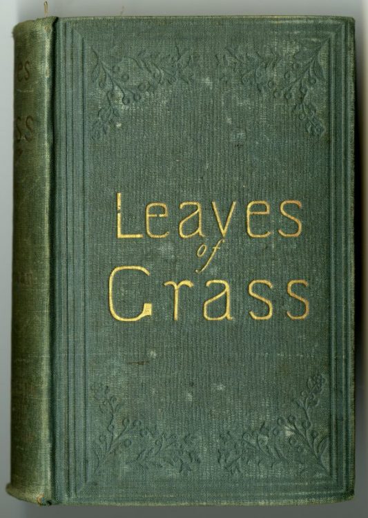 Leaves of Grass. Brooklyn, New York: [publisher not identified], 1856.