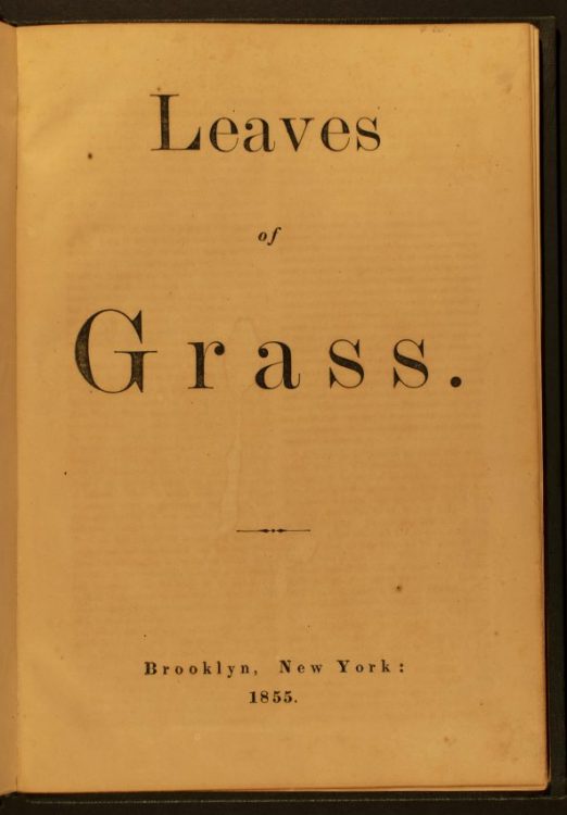 Leaves of Grass. Brooklyn: [Walt Whitman], 1855. (2)