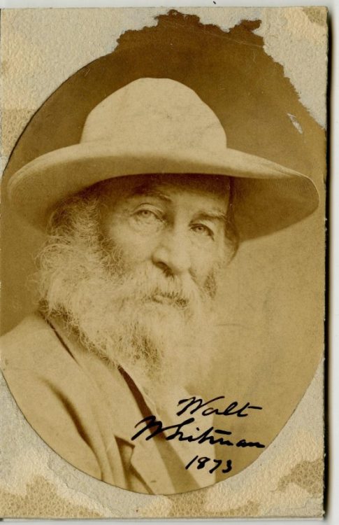 Photograph of Walt Whitman, ca. 1870-1872.