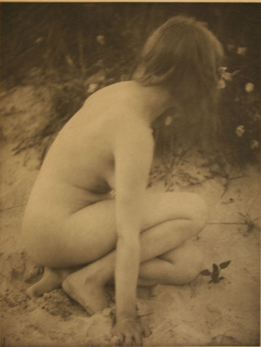 Alice Boughton (American, 1866-1943), Sand and Wild Roses, 1909, photogravure. Museums Collections, Gift of Dr. Maynard P. White.