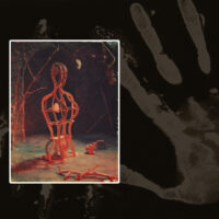 Photo / Object Photo / Object